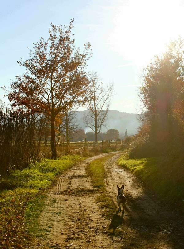 Secrets de la Dordogne : 10 Balades Hors des Sentiers Battus avec M&Services Conciergerie !